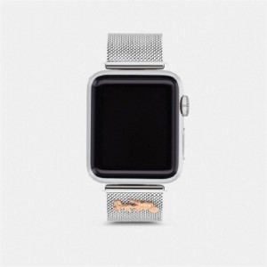Coach Apple Watch® Strap, 38 Mm And 40 Mm Grau | COH866273