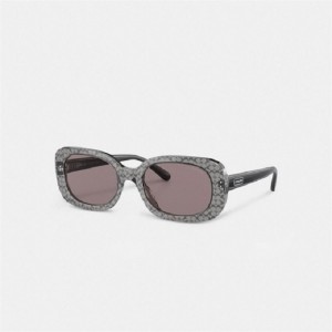 Coach Badge Rounded Square Sunglasses Grau | COH866397