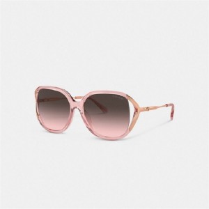 Coach Bandit Oversized Square Sunglasses Rosa Rosa Gold | COH866329