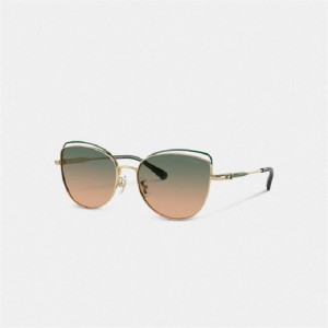 Coach Bandit Wire Oval Sunglasses Grün Gelb | COH866349