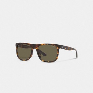Coach Beveled Signature Flat Top Square Sunglasses Braun | COH867062