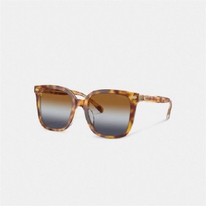 Coach Beveled Signature Oversized Square Sunglasses Braun Blau Grau | COH866364