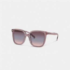 Coach Beveled Signature Oversized Square Sunglasses Rosa | COH866399
