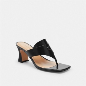 Coach Bree Sandal Schwarz | COH865866