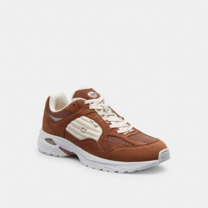 Coach C301 Sneaker Braun | COH866793