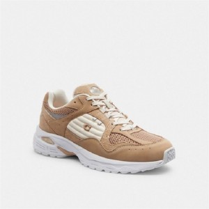 Coach C301 Sneaker Grau Braun | COH865813