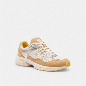 Coach C301 Sneaker Grau Braun | COH865815