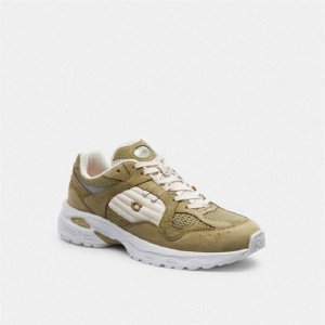 Coach C301 Sneaker Senfgelb | COH865836