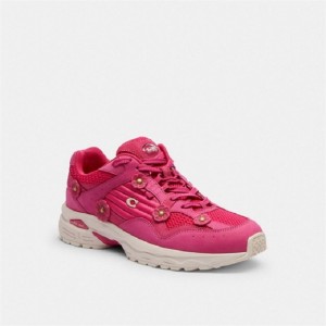 Coach C301 Sneaker With Tea Rose Rosa | COH865814
