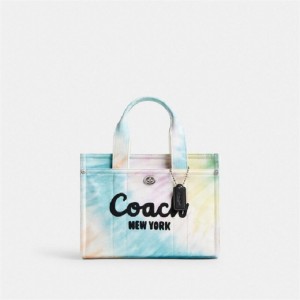 Coach Cargo Tote Bag 26 With Rainbow Tie Dye Print Silber Mehrfarbig | COH865105