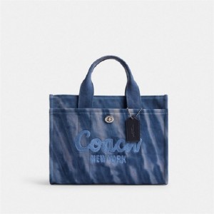 Coach Cargo Tote Bag With Tie Dye Silber Navy | COH865103