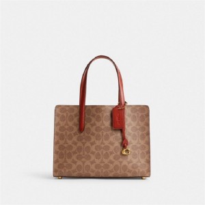 Coach Carter Carryall Bag 28 In Signature Canvas Braun Rot | COH865093