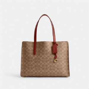 Coach Carter Carryall Bag In Signature Canvas Braun Rot | COH865085