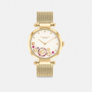 Coach Cary Watch, 34 Mm Gold | COH866246