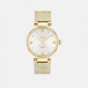 Coach Cary Watch, 34 Mm Gold | COH866248