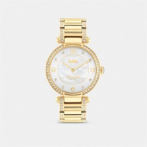 Coach Cary Watch, 34 Mm Gold | COH866277