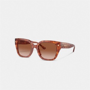 Coach Charms Oversized Square Sunglasses Braun | COH866328