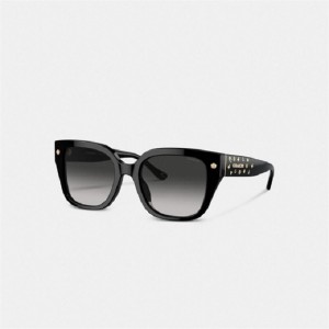 Coach Charms Oversized Square Sunglasses Schwarz | COH866351