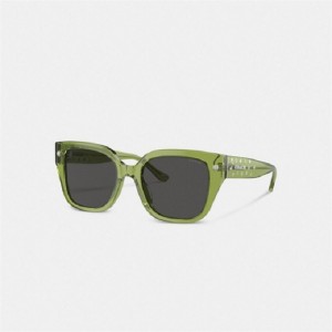 Coach Charms Oversized Square Sunglasses Grün | COH866383