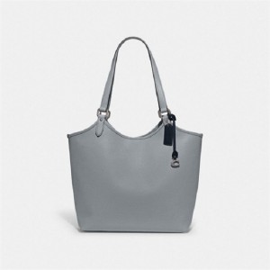 Coach Day Tote Bag Silber Grau Blau | COH865051