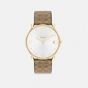 Coach Elliot Watch, 36 Mm Braun | COH866263