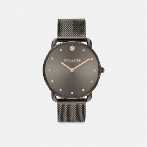 Coach Elliot Watch, 36 Mm Grau | COH866296