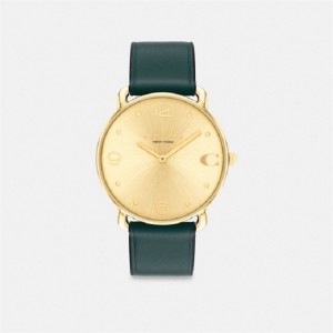 Coach Elliot Watch, 36 Mm Grün | COH866234