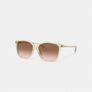 Coach Embedded Wire Square Sunglasses Braun Rosa | COH866357