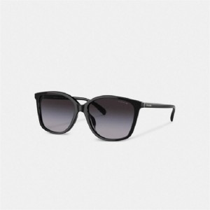 Coach Embedded Wire Square Sunglasses Schwarz | COH866390