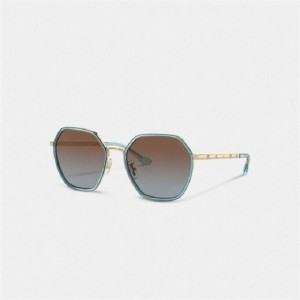 Coach Embellished Narrow Metal Hexagon Sunglasses Blau | COH866323