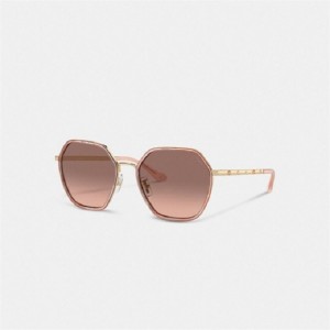 Coach Embellished Narrow Metal Hexagon Sunglasses Rosa | COH866326