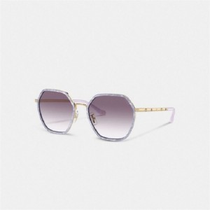 Coach Embellished Narrow Metal Hexagon Sunglasses Lila | COH866347