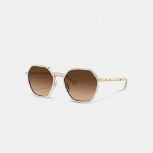 Coach Embellished Narrow Metal Hexagon Sunglasses Braun | COH866379