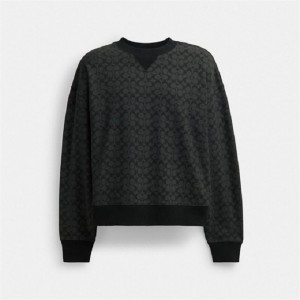 Coach Essential Signature Crewneck Grau | COH865948