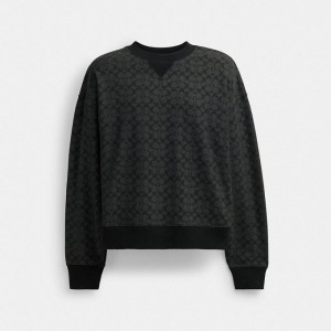 Coach Essential Signature Crewneck Grau | COH866881