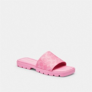 Coach Florence Sandal In Signature Canvas Rosa | COH865868