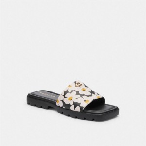 Coach Florence Sandal With Floral Print Mehrfarbig | COH865889