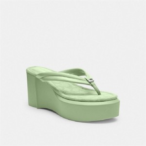 Coach Franki Flip Flop In Signature Jacquard Senfgelb | COH865848