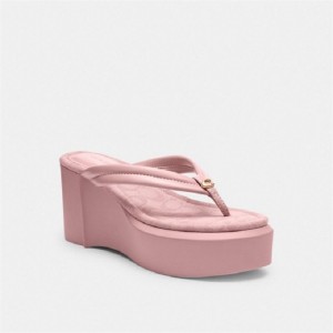 Coach Franki Flip Flop In Signature Jacquard Hellrosa | COH865875