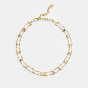 Coach Garden Charms Choker Necklace Gold Mehrfarbig | COH866186