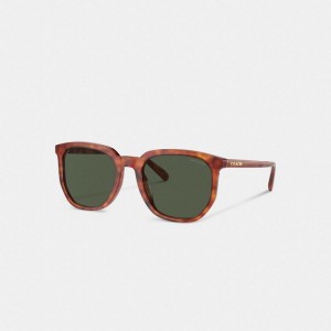 Coach Geometric Square Sunglasses Grün | COH867059