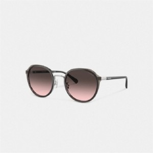 Coach Hangtag Geometric Round Sunglasses Grau | COH866335