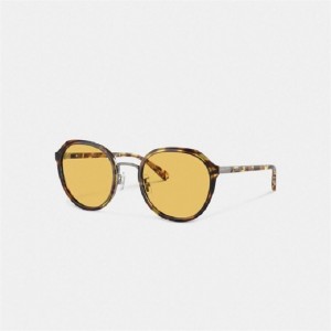 Coach Hangtag Geometric Round Sunglasses Orange | COH866360