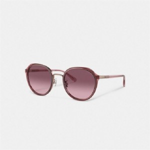 Coach Hangtag Geometric Round Sunglasses Bordeaux | COH866394