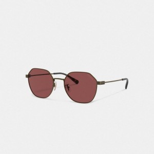 Coach Hinged Geometric Round Sunglasses Gold Bordeaux | COH867066
