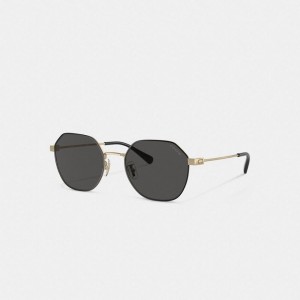Coach Hinged Geometric Round Sunglasses Gold Schwarz | COH867080