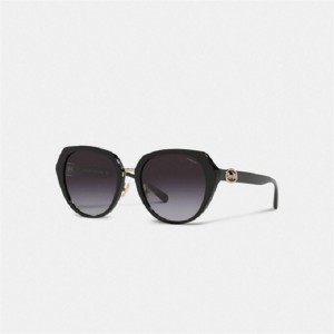 Coach Horse And Carriage Oversized Round Sunglasses Schwarz | COH866344