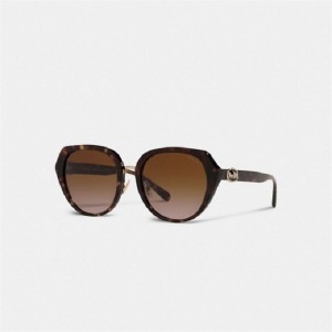 Coach Horse And Carriage Oversized Round Sunglasses Braun | COH866376
