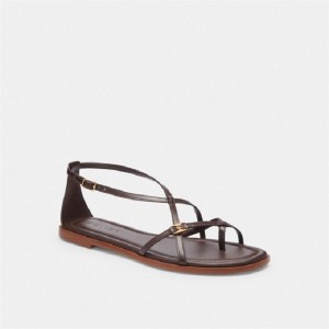 Coach Jenni Sandal Schokolade | COH865861