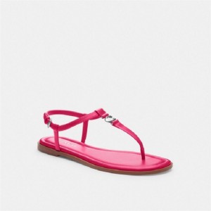 Coach Jessica Sandal Rosa | COH865849